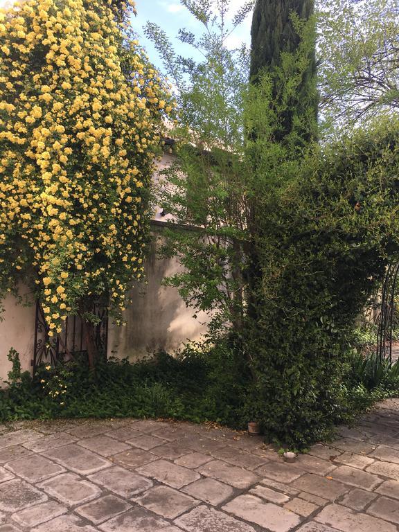 Alla Locanda Del Cinquecento Castrocaro Terme Luaran gambar
